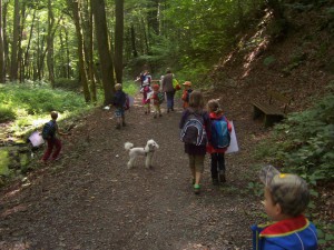 Wanderung durch das Kaskadental