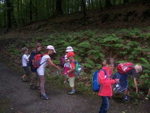 Wanderung durch das Kaskadental