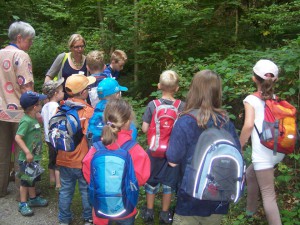 Wanderung durch das Kaskadental