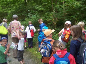 Wanderung durch das Kaskadental